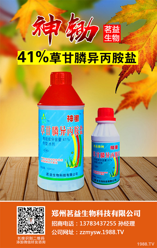 ������(sh��)�����Գɷ�bixlozone�ĸ����Գ��݄�Overwatch&reg;���ڰĴ�����������