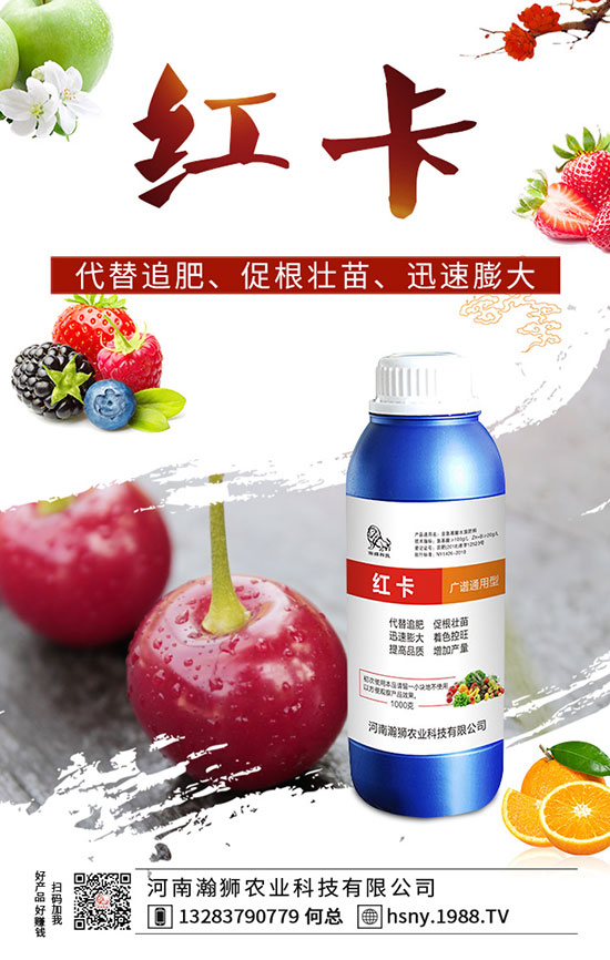 �����������ι�����������������Լ��g(sh��)Ҫ�c(di��n)