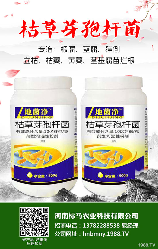 ������߮a(ch��n)����֦���~���P(gu��n)�I��������֦���~ԭ�t��������B��