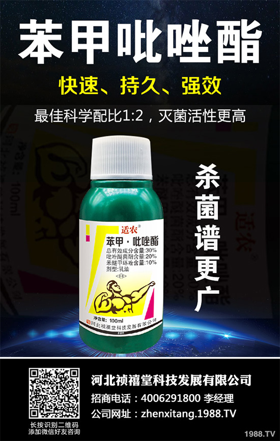 ������������~���򊙊���(l��i)�t��ǰ������