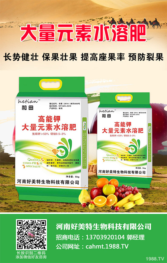 �����[��ηNֲ���ܸ߮a����Ҫע��ʲô���@�傀С���ɷ���һ����