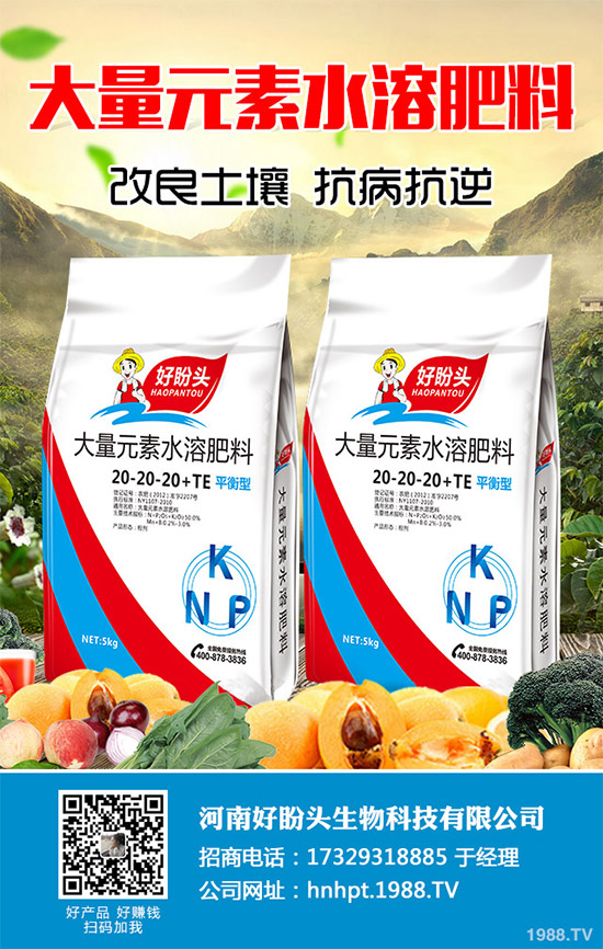 �o��������Щ�I�B(y��ng)�rֵ���o�����Ĺ�Ч���ü�ʳ�ý���