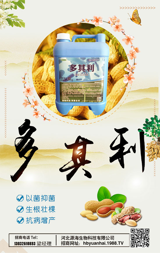 洋蔥什么時(shí)間種植好？洋蔥種植想高產(chǎn)怎么種植？