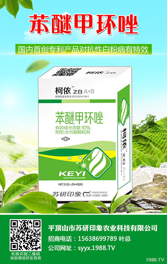     ��ذl(f��)�F(xi��n)���Ծ�������(y��ng)���赾��������뿾����Ŀ�ˎ�Ԇ��}