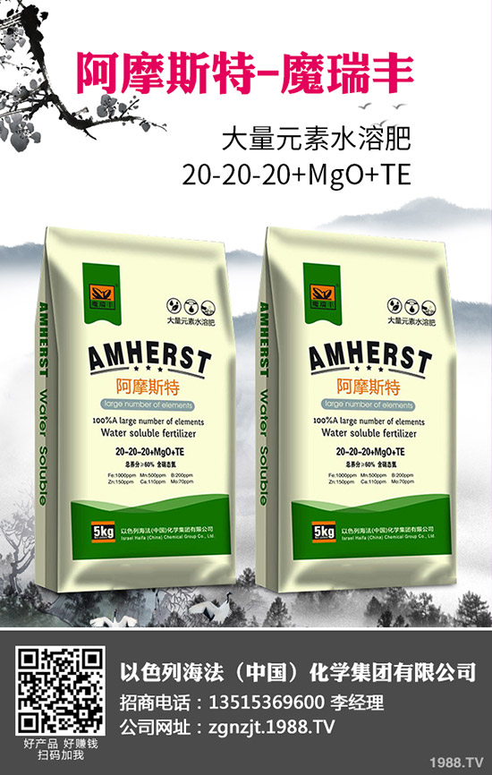 2020�괺����ʲô�r�g���N�������׷Nֲ���g(sh��)