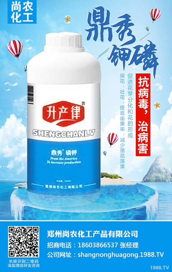     ���{���Y(ji��)����ô�k�����{���Y(ji��)��ԭ�򼰷��δ�ʩ��