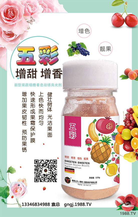 如何因地因品種確定玉米種植行距？玉米株距多遠(yuǎn)才是科學(xué)的？