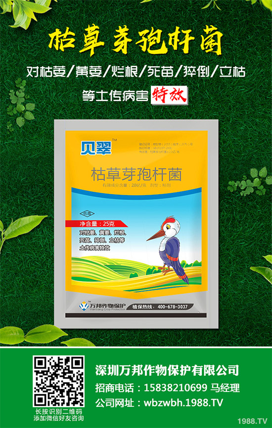 С����ù��ˎ������Ч����������׃����