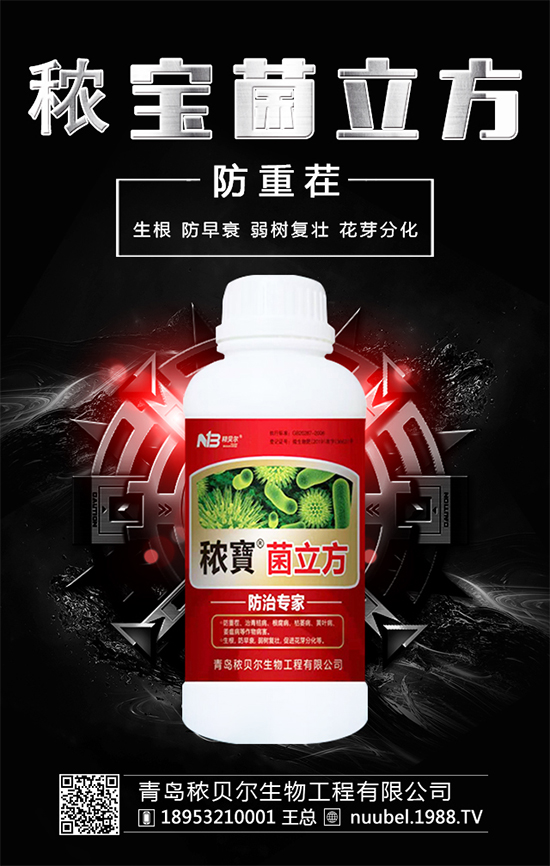 ����ʲô�r(sh��)����Բ��������պ�İ�����ô̎����