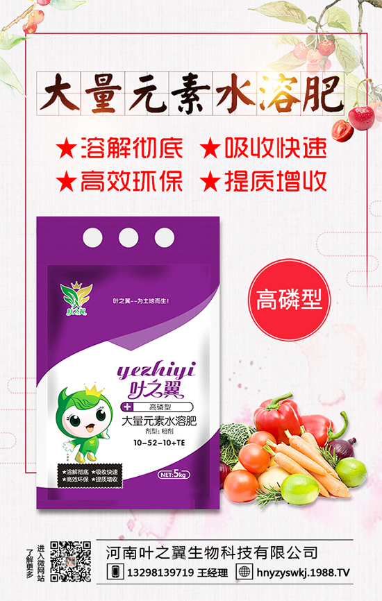 �������L��(x��)������Щ�����ɵ����g����Ҫ�c(di��n)��