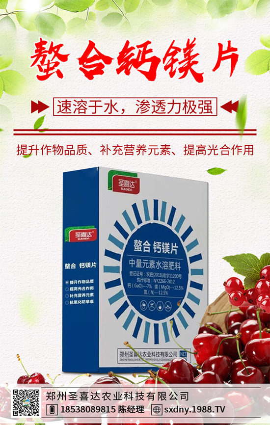 ������ԓ��������������˵ĸ߮a(ch��n)����������g(sh��)