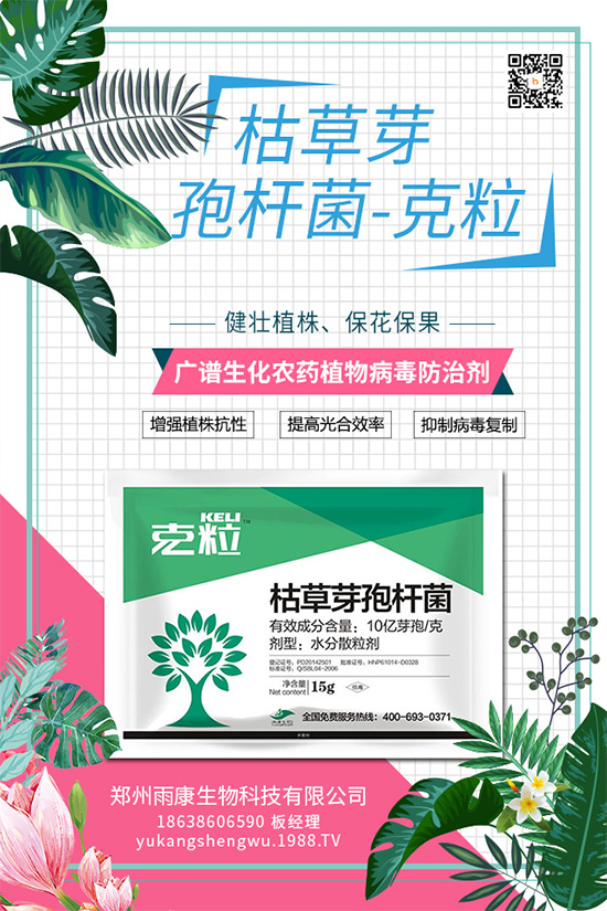 ��(gu��)��(n��i)��(d��)��(chu��ng)��ֲ��Դ����(x��)��ˎ���ذ����u��