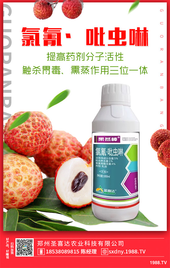 ��������ӛ���������x�y��߀�������������T��Ҫ���(qu��n)��������