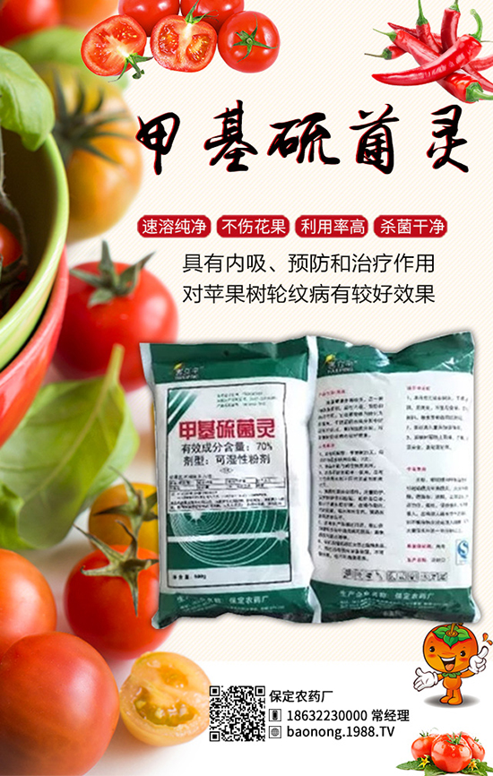 �������t�����༼�g(sh��)���������t�����x��������