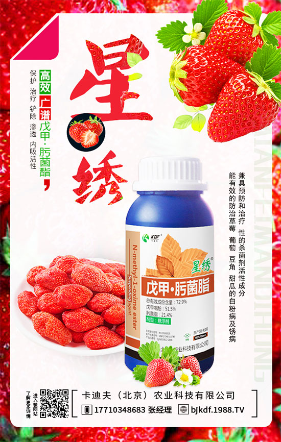 ����Ҫ��Ҫ���������������_��֦�������