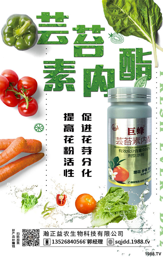 ��(gu��)��(n��i)ֲ��Դˎ��������̦�������g(sh��)�a(ch��n)Ʒ��̦������������