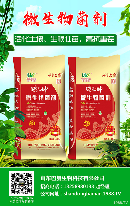     磷肥價(jià)格理性回歸狀態(tài)！最新磷酸一銨價(jià)格行情分析2020-4-24！