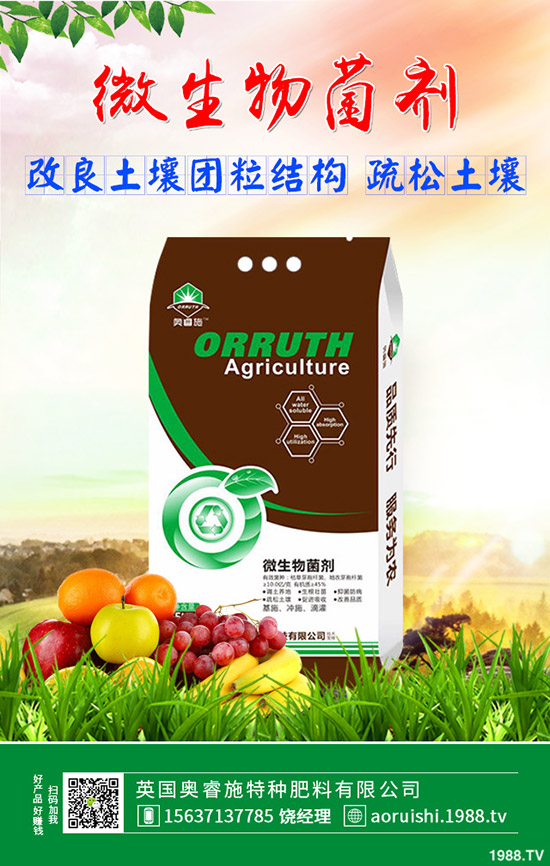     2020-4-24���������嵭������������(n��i)�����Ј������߄ݷ���|��