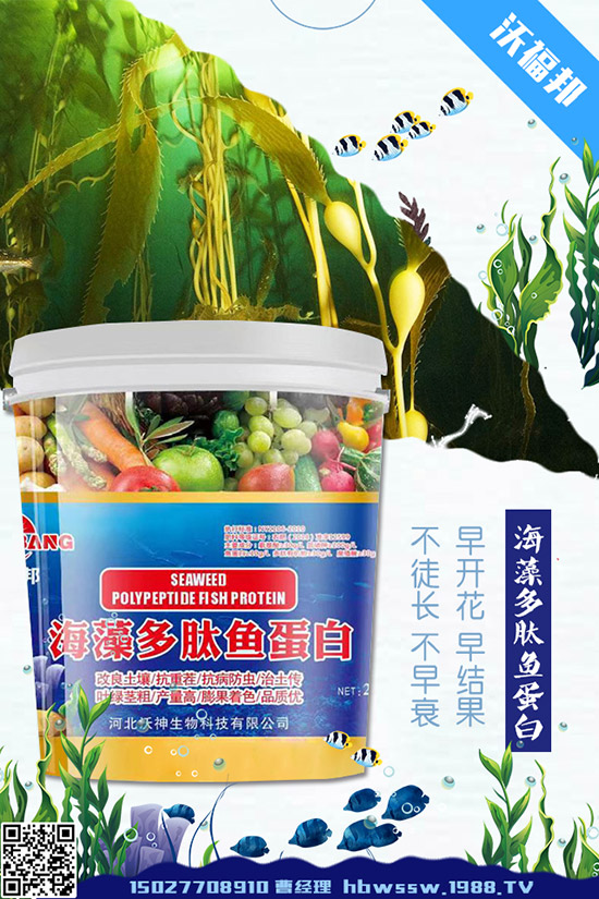     ���ӷNֲ��Ҫע����Щ��(w��n)�}�����ӵ�ˮ�ʹ���Ҫ�c(di��n)��