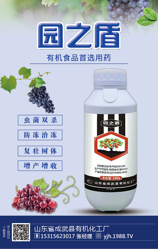 �J�S���ʩ�����J�S��ʲô���Ϻã��J�S������c(di��n)��ע�����(xi��ng)��