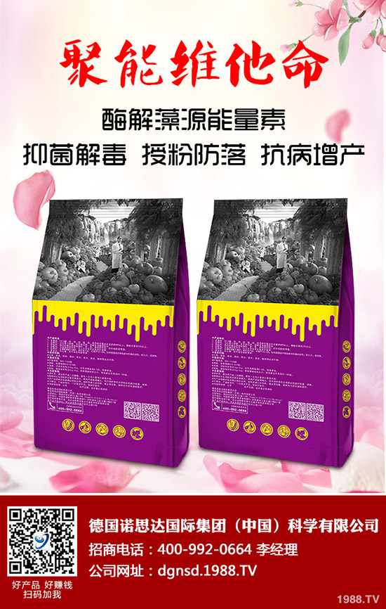 �ܱ��Ϲ���ô�Nֲ���ܱ��Ϲϵ����༼�g(sh��)Ҫ�c(di��n)�c������