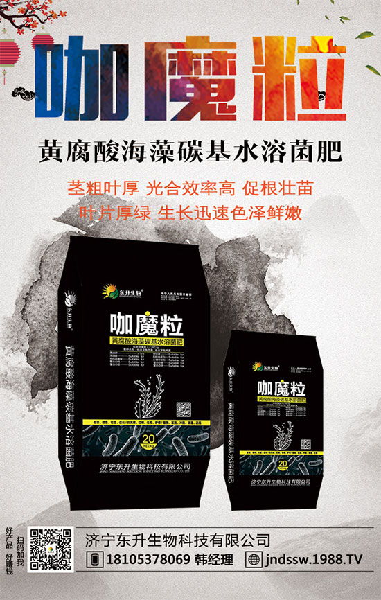 С����ʲô�g�Nֲ�r��С���۷Nֲ����Ҫ�c��