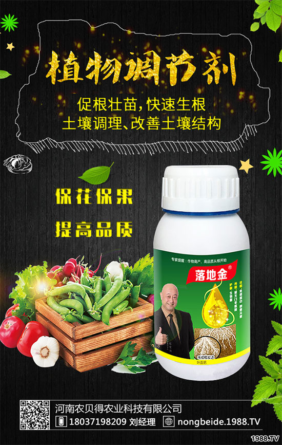 С��������Щʳ�Ãr(ji��)ֵ��С���۵��ΑB(t��i)������