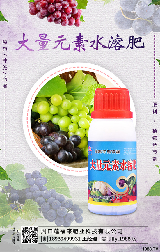 ���v�̶����Xһ�����Nֲǰ����Σ���ˎ�ĵ�Ч�����