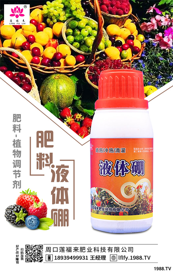 ���v������Щ��;��ԓ������������v�������������g(sh��)