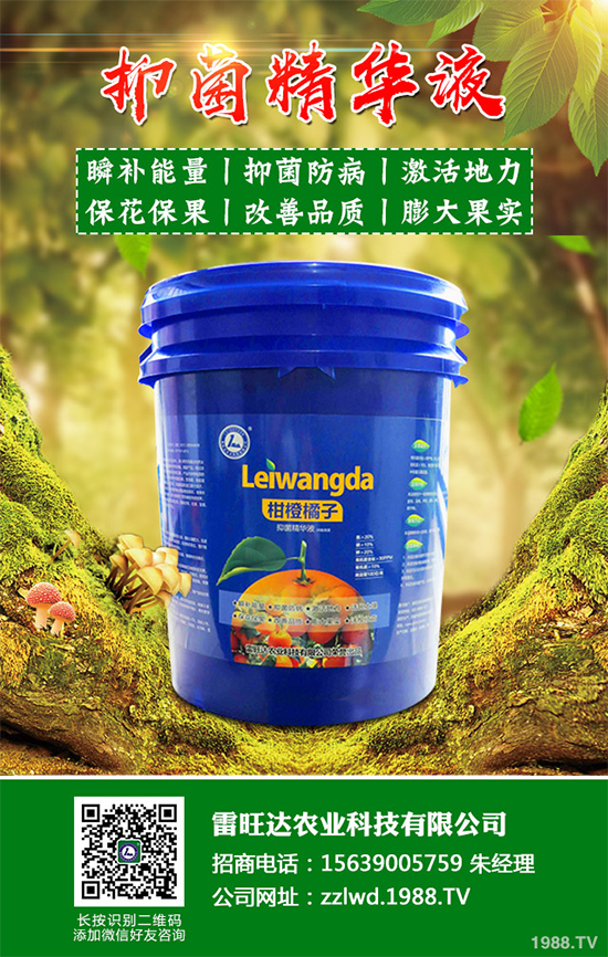 �~�Ȳ��Ј��r������Xһ�2020���~�ȲݵķNֲЧ�����