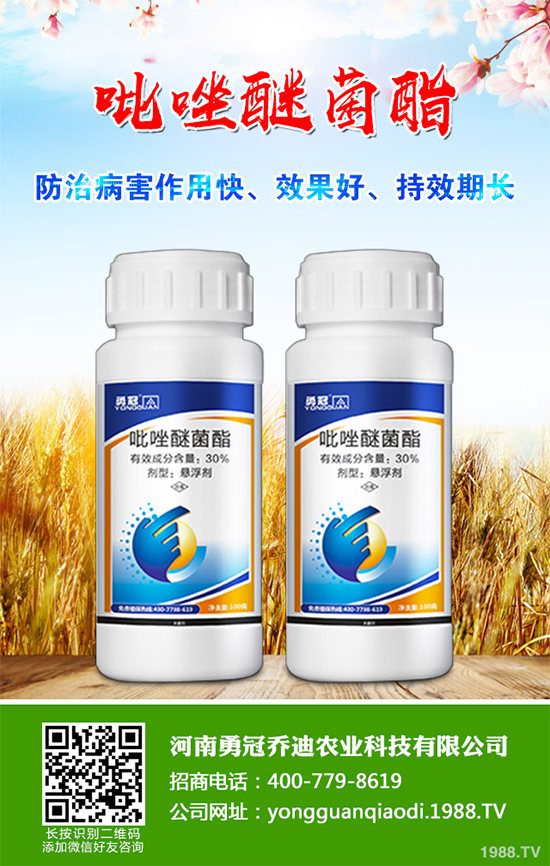 �������r(ji��)������