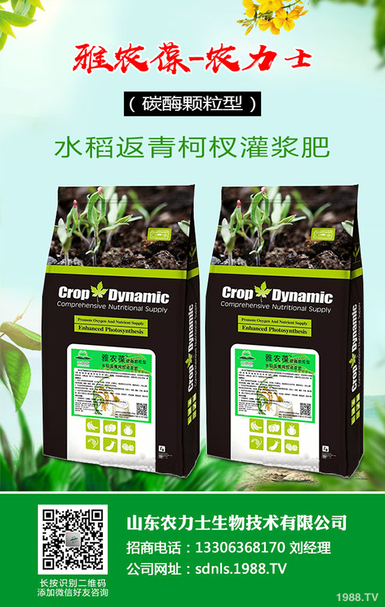     �q�r(ji��)���q�r(ji��)�����؞�ɶ�֝q�r(ji��)��2020-4-9���ո�������(b��o)�r(ji��)��(l��i)����