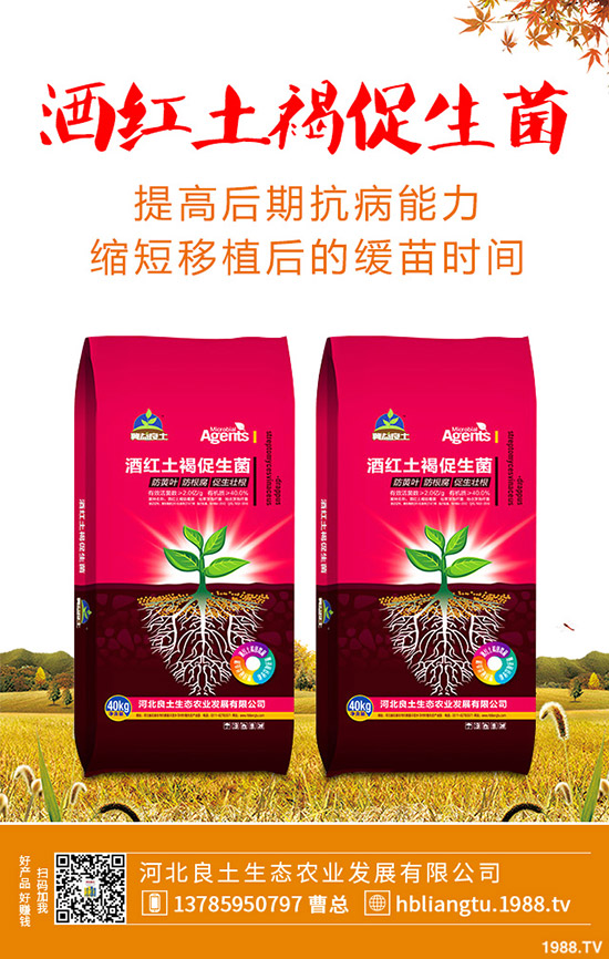 �{��ʲô�r��Nֲ�^�ã��{�˵ķNֲ���g(sh��)�c���g����