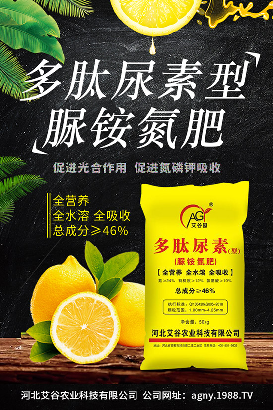 �ļ����NֲҪ�c(di��n)���ļ������缼�g(sh��)�����ڹ���