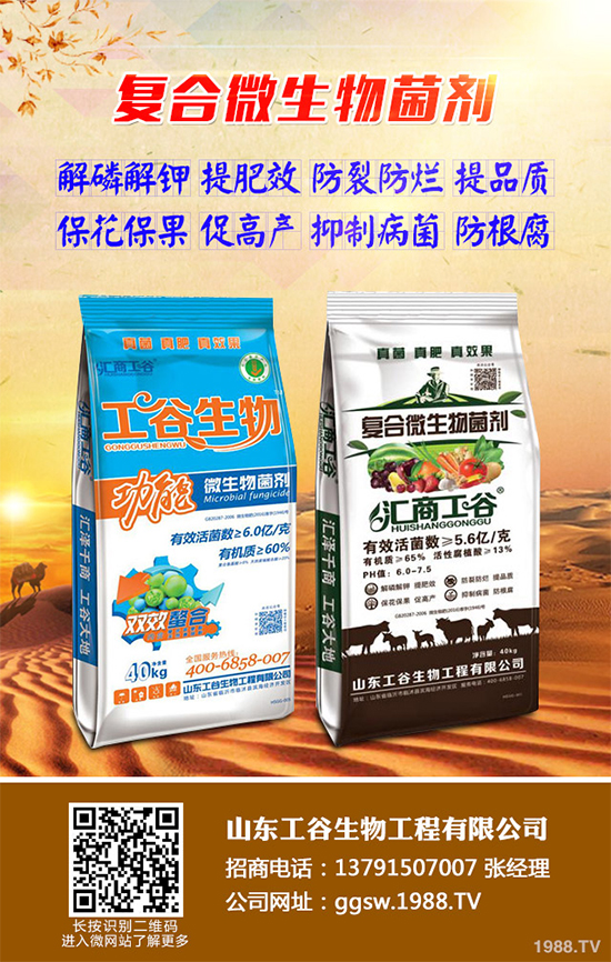 С���l�P��������Ű���r(n��ng)������ԓզ�k���P(gu��n)�I߀�ǿ��A(y��)����