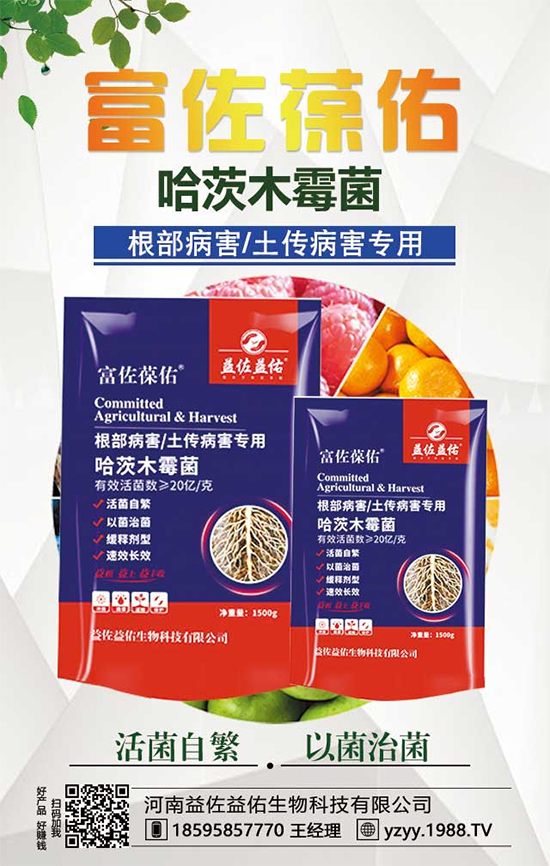 ���^����ʲô�I�B(y��ng)�r(ji��)ֵ�������^��ʲô��̎��