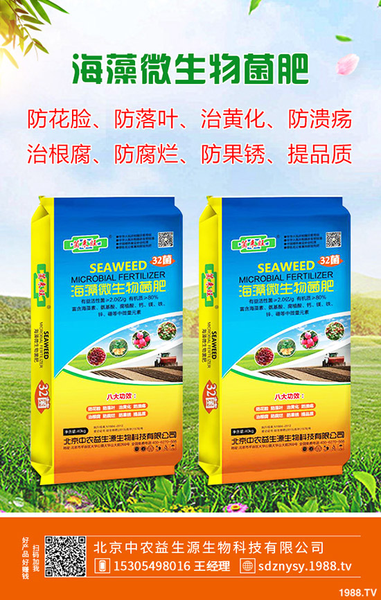 ��ľ������ע�����(xi��ng)����Щ����ľ�����N�xُ(g��u)ע������Щ��