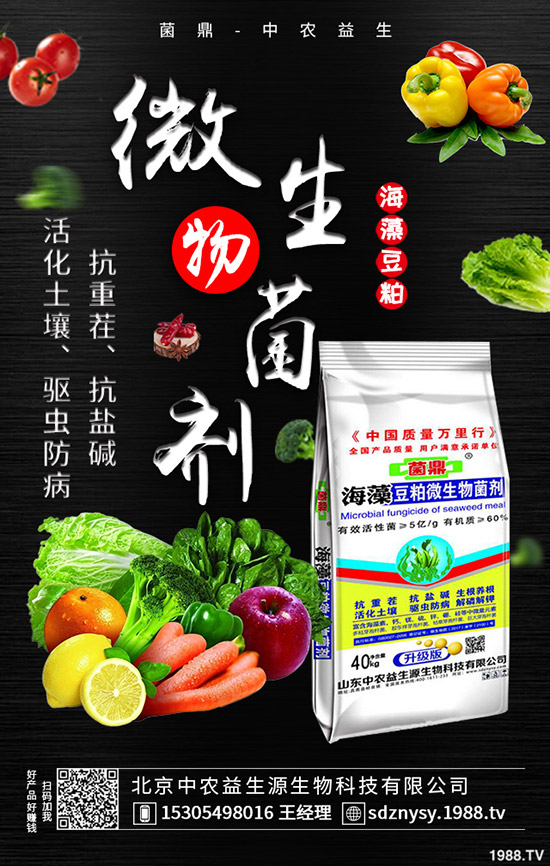     ���@�Ј����w���F(xi��n)ƽ�o��2020-5-12����������@�r�����������