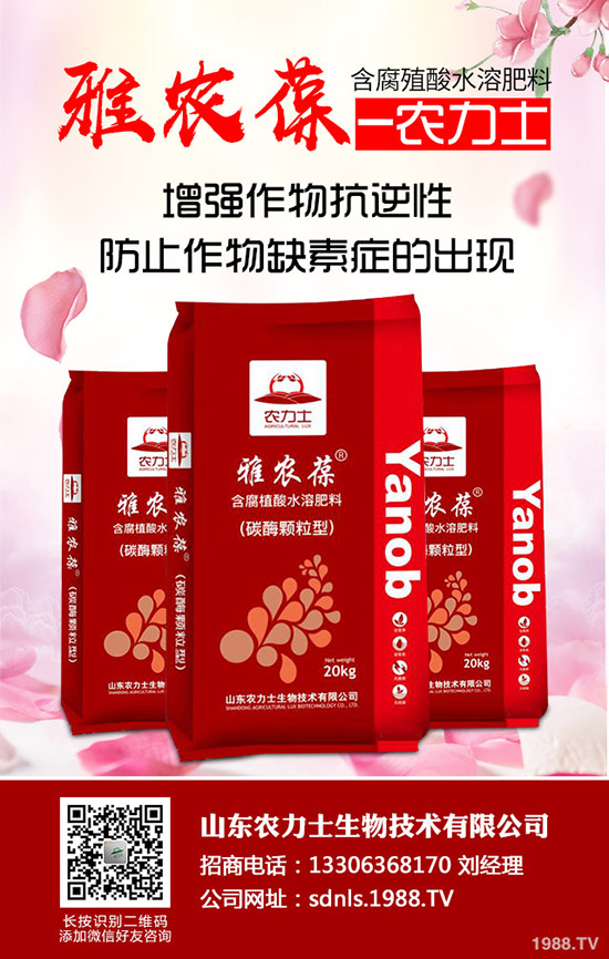     ���؃r(ji��)������������Εr(sh��)�ǂ�(g��)�^��2020-5-14�����������(b��o)�r(ji��)�Ƕ�����