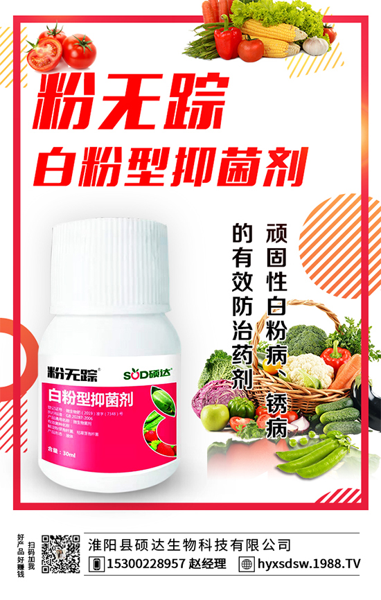 ������ô�Nֲ�������Nֲ���g(sh��)Ҫ�c(di��n)��