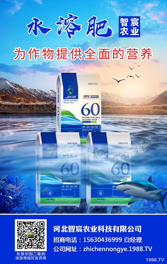 2020���؃r(ji��)��Ҫ�ϝq���������������߄�(sh��)������