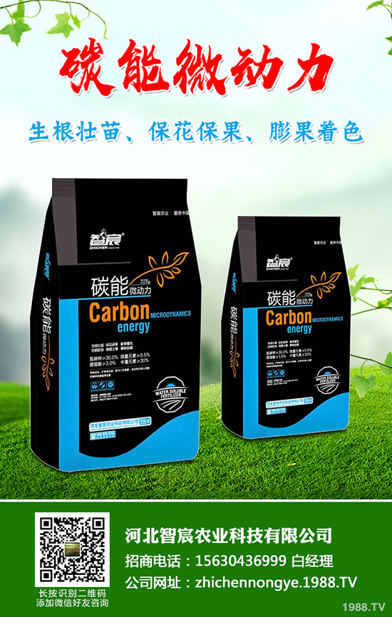 5����(n��i)�׷��Ј���ȥ�Ώģ�����һ�@���@�r�������߄��A(y��)�y��