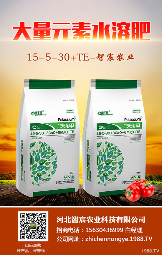 ����F��ô�B(y��ng)������F���B(y��ng)ֳ������ע�����