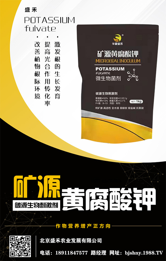     ����⛷�(w��n)���\(y��n)����2020.05.16⛷ʃr�������߄ݷ�����