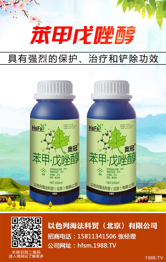 ��䚢�����r(ji��)��