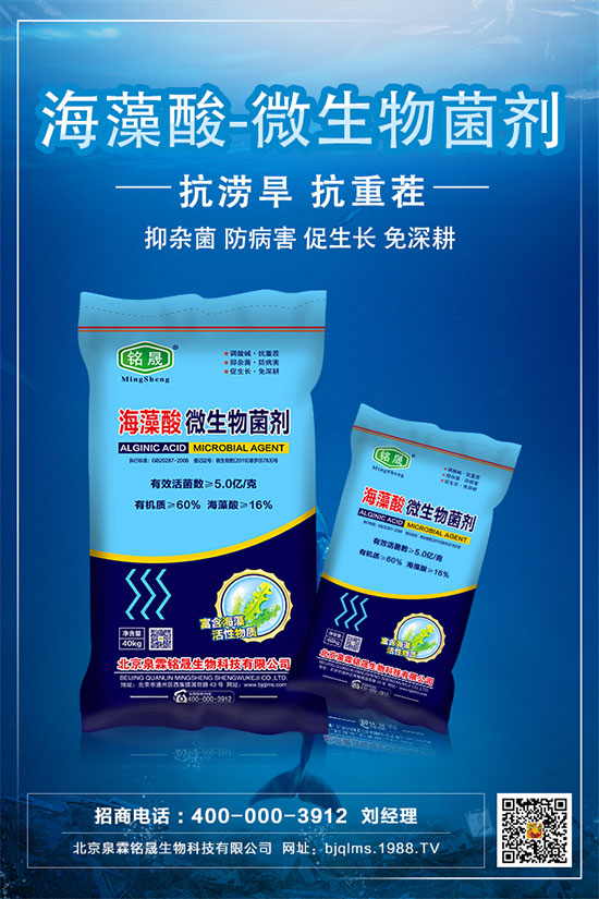 �Ә�Nֲ���g(sh��)Ҫ�c(di��n)���Ә���ԷNע�����(xi��ng)��