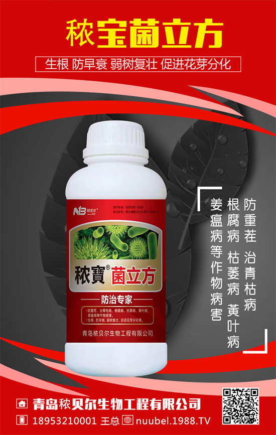 ���J��ô���N���������J�Ĳ��N���������L�^����