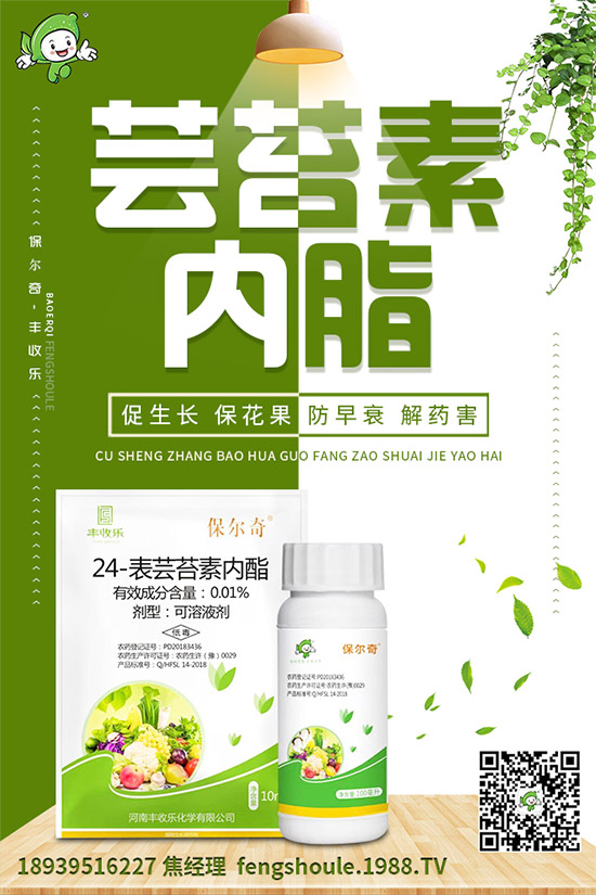 ��ɺ��ԓ��ô�Nֲ����ηNֲ�ܸ߮a(ch��n)����ɺ���߮a(ch��n)�Nֲ���g(sh��)