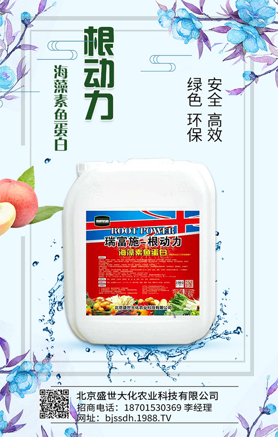 ��֦���L�h(hu��n)��Ҫ������֦��޽ӷ�����ʩ��ԭ�t��