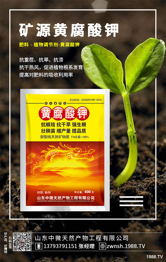 ��(gu��)��(n��i)⛷ʃr(ji��)��������(b��o)